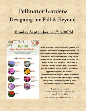 Adult Program: Polli